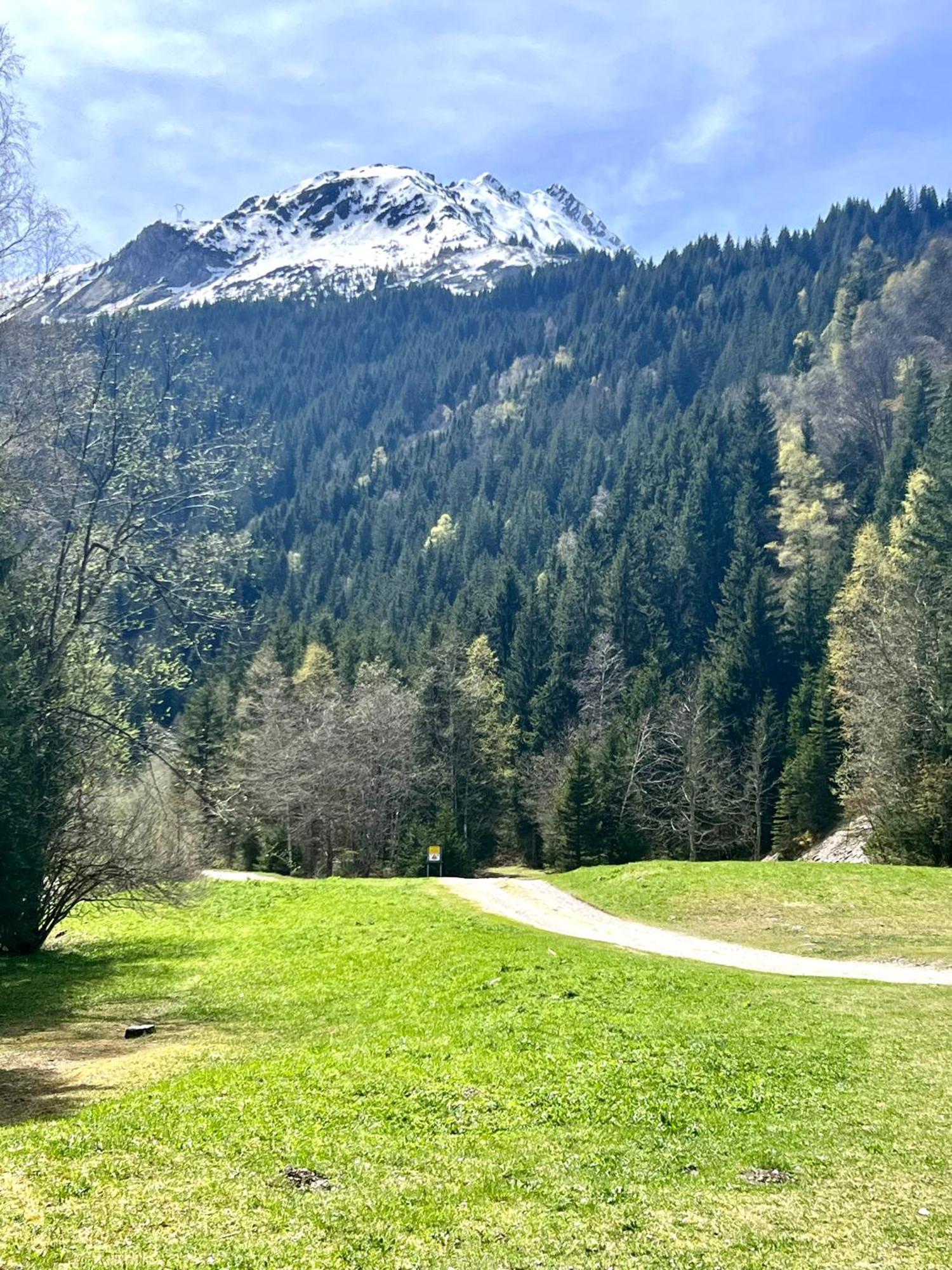 A Praz-sur-Arly